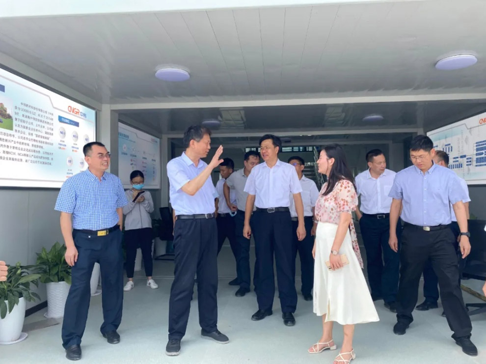 廣西壯族自治區(qū)人民政府副主席費志榮赴南部產業(yè)基地調研 