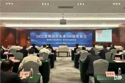 喜報！中偉股份榮登“2022貴州制造業(yè)民營企業(yè)20強(qiáng)”榜首
