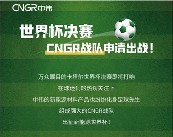 世界杯決賽 | CNGR戰(zhàn)隊申請出戰(zhàn)！