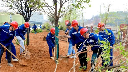 這個(gè)植樹節(jié)，共植一抹青綠，向著綠色未來出發(fā)！